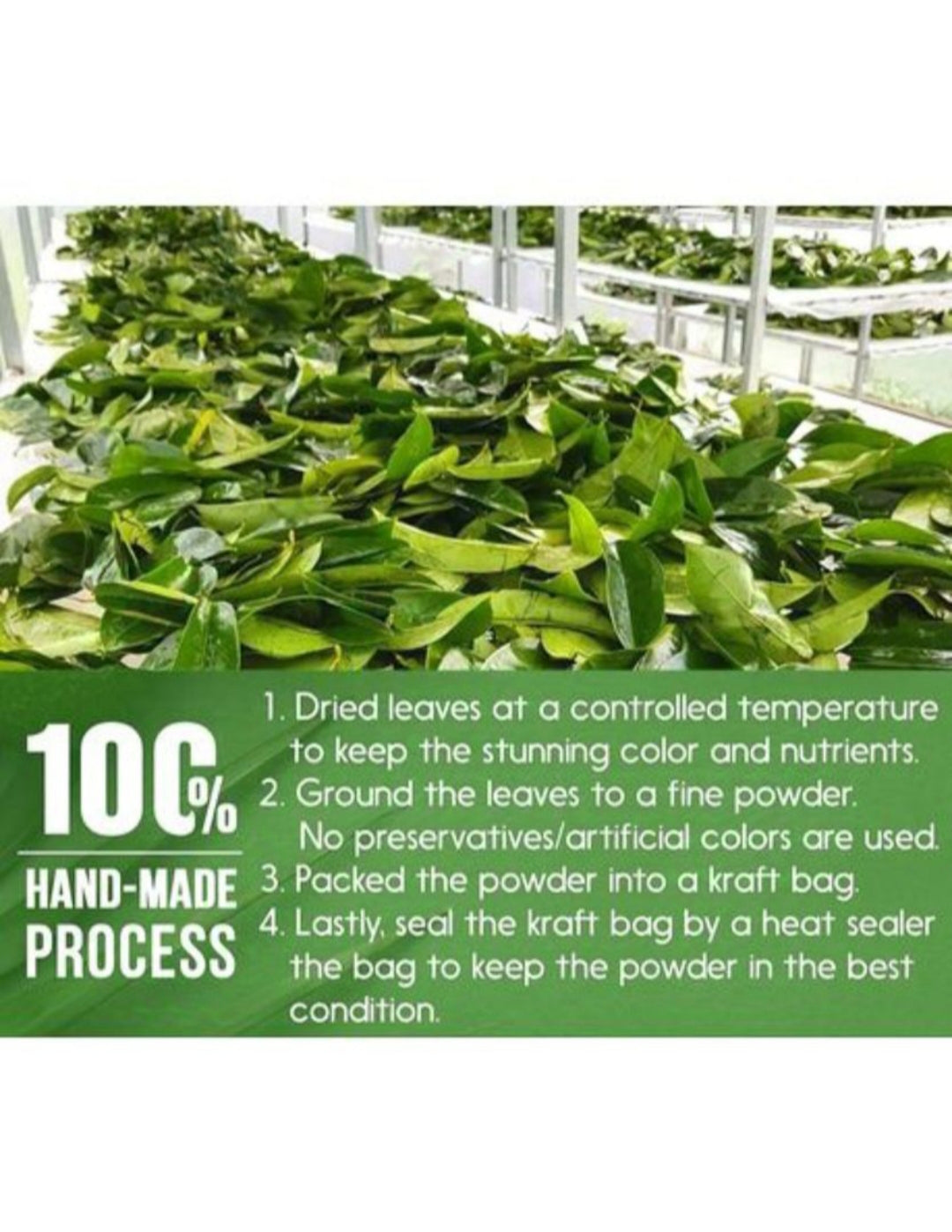 Soursop Powder(100g)