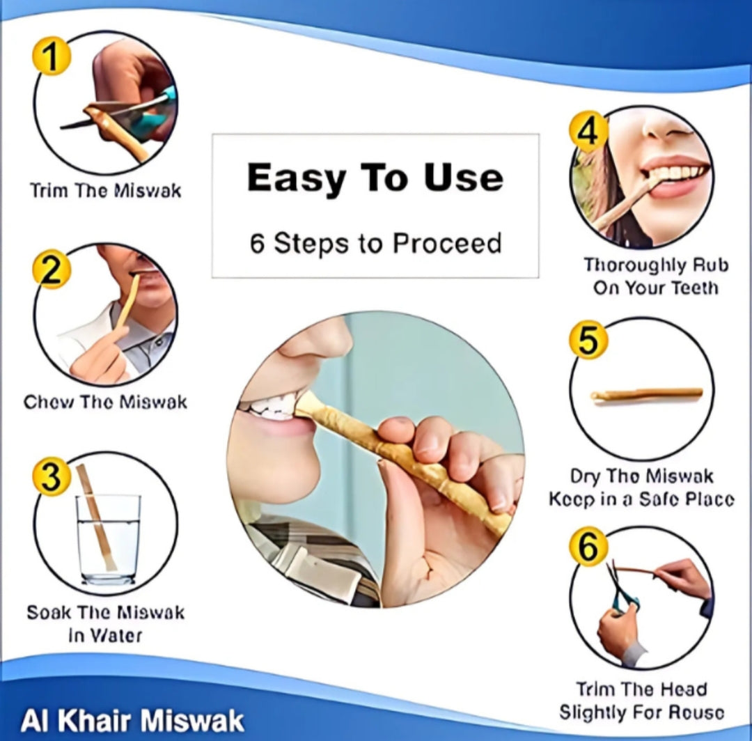 Miswak with holder