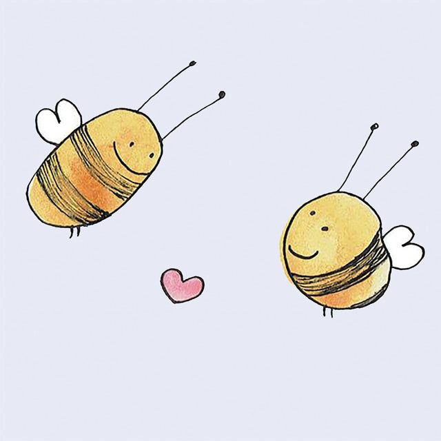 Slimming nuts(1 pack) and Skinny Coffee(28 day program)