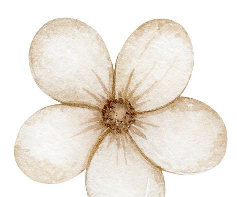 The Balance Boosters- Chlorophyll Juice(1L) and Kalonji Black Seed Oil(200ml)